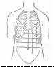 fig56.jpg